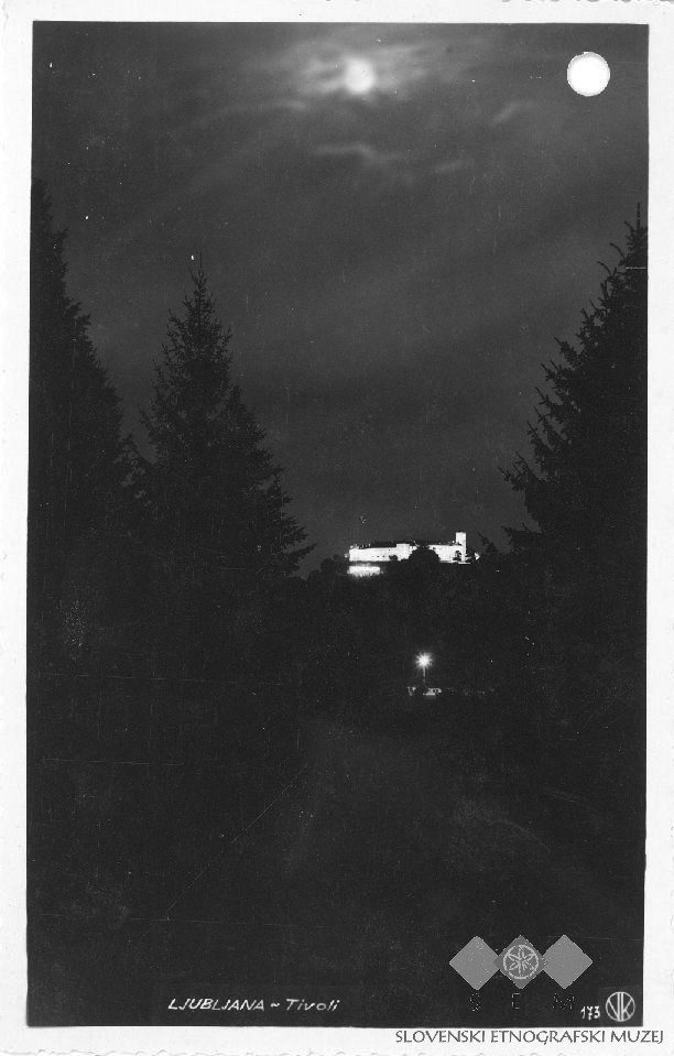 A fog-shrouded castle at night, the classic gothic-horror setting